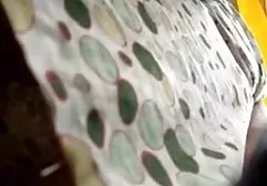 Matka darmowe sex filmu naklejki pojemniki